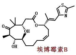 埃博霉素B結(jié)構(gòu)式